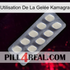Utilisation De La Gelée Kamagra 08